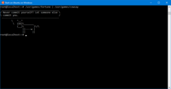 WSL Features and Distributions