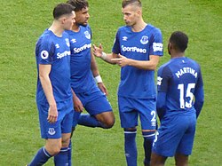 Morgan Schneiderlin at Everton